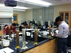Image of students in the laboratory