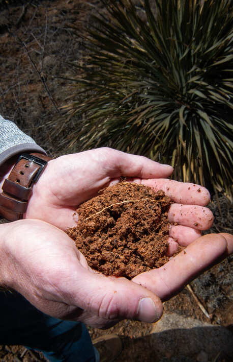 Soil held in hands