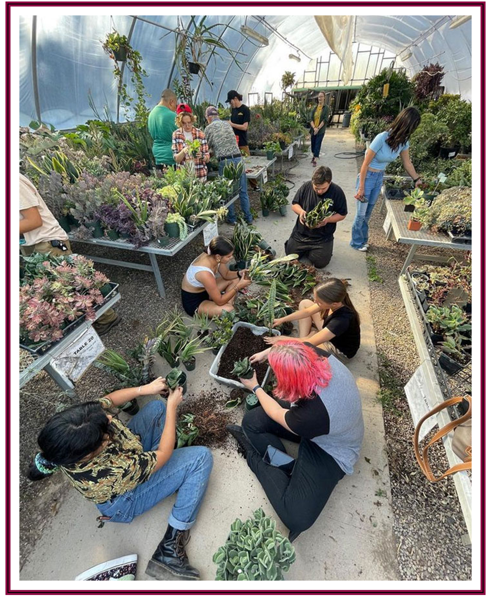 Horticulture Forum Activity