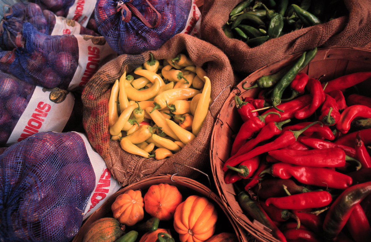 harvest of onions, pumpkins, and chile peppers